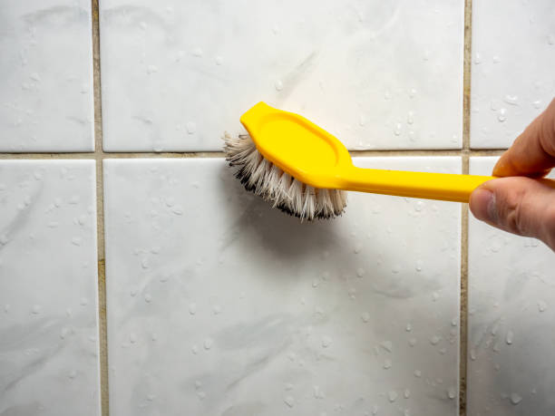 Best Home Mold Removal  in Csar Chvez, TX